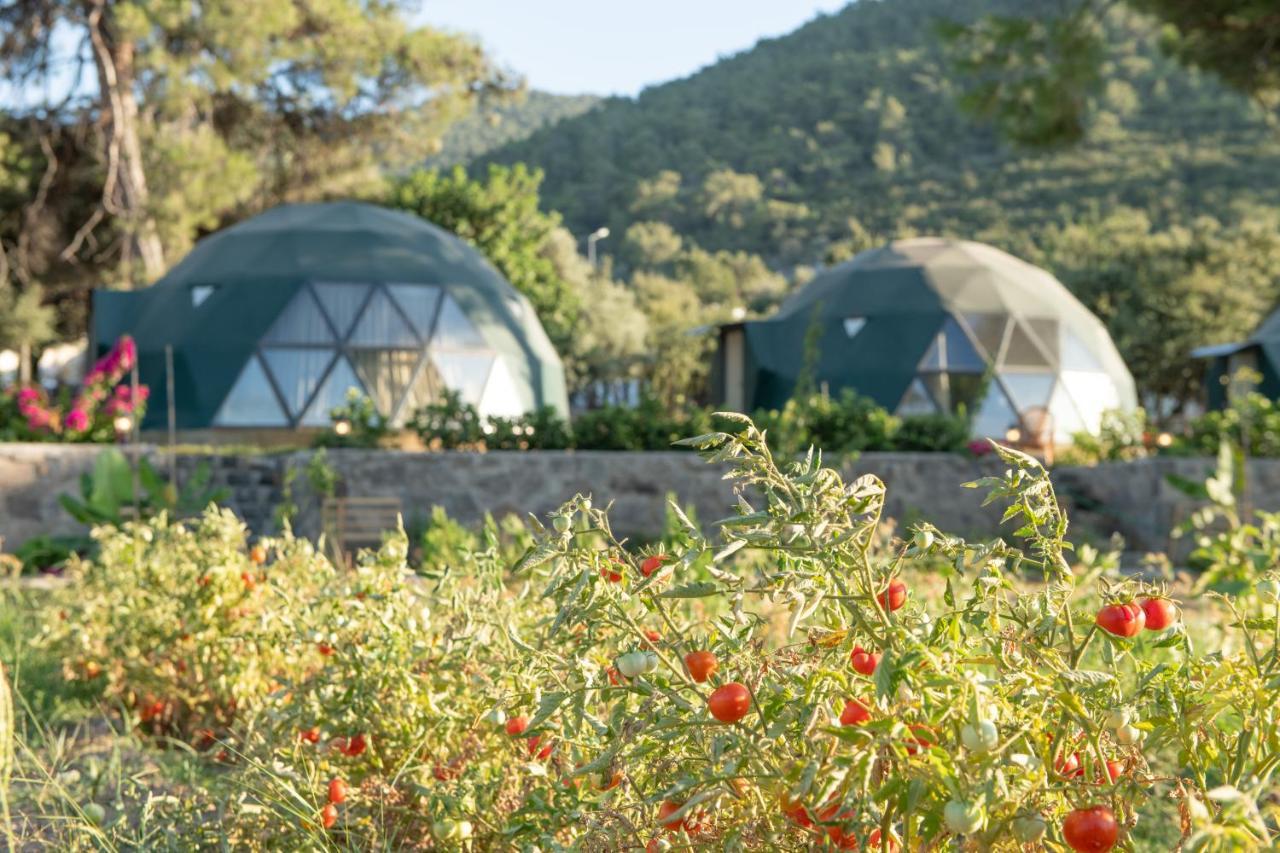 Lusso Glamping Bodrum Exterior photo